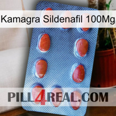 Kamagra Sildenafil 100Mg 06